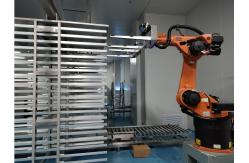China Floor Mounting Position Palletizing Robot and Efficiency with Training supplier