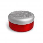 TWS Portable Bluetooth Speaker Sound Bass Remote Shutter Control Small Wireless For Phones for sale