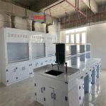 Low-Noise Chemical Fume Hood Lab Fuming Hood with PP  Design Safe Laboratory Noise ≤60dB for sale