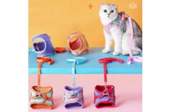 China Escape Proof Puppy Body Harness Collar And Lead For Walking supplier