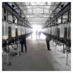 Automatic Vacuum 2100L Herringbone Milking Parlor with Sunction Function for sale