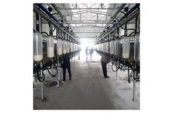 China Automatic Vacuum 2100L Herringbone Milking Parlor with Sunction Function supplier