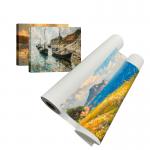 Large Format Printing 280gsm Matte Polyester Wall Art Canvas Printing