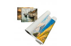 China Large Format Printing 280gsm Matte Polyester Wall Art Canvas Printing supplier