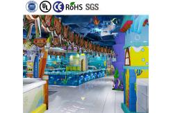 China Ocean Theme Custom Design Slide Set Ball Pit Kids Indoor Park Equipment supplier