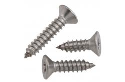 China Torx Tamper Proof Self Tapping Screws supplier