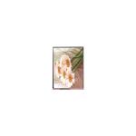 KCG035QV1AB-G00 3.5 inch 320*240 LCD Screen Panel for sale