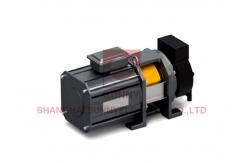 China 450kg Elevator Gearless Traction Machine For Home Lift Machine Motor supplier