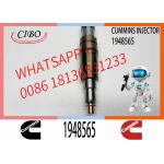 2029622 Genuine Diesel Common Rail Fuel Injector 1948565 2030519 2031836 2031835 2086663
