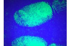 China C057 Green fluorescent small particle reagent supplier
