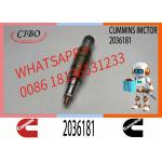 New Neutral Diesel Injectors 2036181 2419679 2482244 Injection Valves 2419679 For SCANIA for sale
