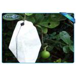 Nonwoven Agiculture Plant Grow Bags For Fruit Growth and Protection , Potato Grow Bags for sale