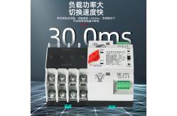 China 230V 2P ATS Automatic Transfer Switch 16A 63A 80A Solar Grid supplier