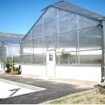Versatile Single Span Multiwall Polycarbonate Greenhouse Ideal For Vegetables Seedlings Flowers Backyard Farming for sale