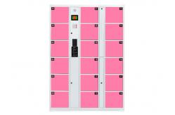 China Public Utilities Parcel Delivery Smart Electronic Locker supplier
