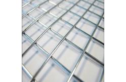 China hot dipped Galvanized Welded Welded Wire Mesh Panel 75mm-300mm supplier