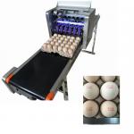 No Need Maintenance Eggs Code Printing Machine Security For Green Food Logo