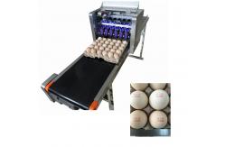 China No Need Maintenance Eggs Code Printing Machine Security For Green Food Logo supplier