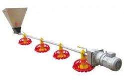 China PLC Control Avian Feeding Line 3m*0.8m*1.2m supplier