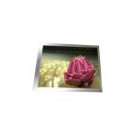 QV293U4B-N80 29.3 inch 1200*1600 TFT LCD Screen Display for sale