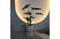 China Hypoallergenic Plastic Artificial Plants Realistic Uv Resistant 70-95CM supplier