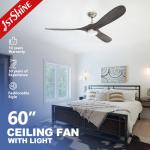 1stshine Dimmable LED Ceiling Fan with Smart Control and Pure Copper Motor Customized for sale