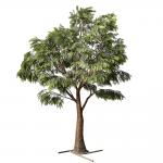 Anti UV Artificial Babul Trees For Outdoor Landscape Evergreen 5.5 Meters Fiber Glass for sale