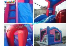 China Popular Frozen Inflatable Bouncer Slide , Inflatable Frozen Castle Combo Slide supplier