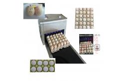 China High Performance Egg Inkjet Marking Machine With Unlimited Printing Length supplier