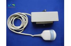 China GE RAB4-8L Convex 4D Array Ultrasound Transducer Probe Ultrasonic Medical Devices supplier