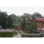 Weave Stainless Steel Cable Trellis Mesh , Stainless Steel Cable Fence