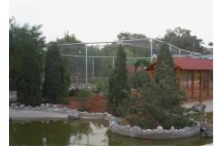 China Weave Stainless Steel Cable Trellis Mesh , Stainless Steel Cable Fence supplier