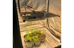 China RedFarm 650W Samsung LM301H 3500K Quantum LED Grow Light Full Spectrum supplier