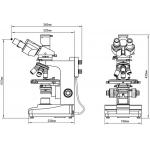Trinocular Transmitted / Reflected Polarizing Light Microscope A15.0203 Wide Field WF10x / 18mm