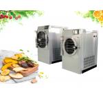 Cold Trap Home Freeze Dryer Machine Electric Heating Fruit Freeze Drying Machine for sale
