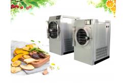 China Cold Trap Home Freeze Dryer Machine Electric Heating Fruit Freeze Drying Machine supplier