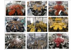 China Nut And Snack Food 14 Head Multihead Weigher Combination Scale Packing supplier
