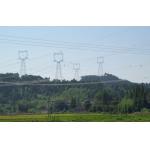 Cat Head Transmission Line Lattice Steel Tower For Site for sale