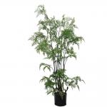 Middle Size Plastic Plant Artificial Fern Tree For Dining Room for sale