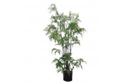China Middle Size Plastic Plant Artificial Fern Tree For Dining Room supplier
