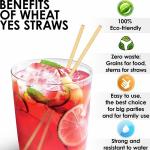 Strong Biodegradable Paper Drinking Straws Waterproof Paper Smoothie Straws