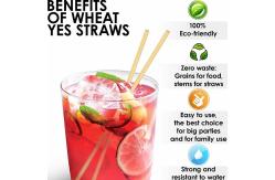 China Strong Biodegradable Paper Drinking Straws Waterproof Paper Smoothie Straws supplier