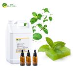 Menthol Oil Fragrance For Soap Fragrance