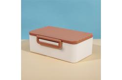 China One Layer Japanese Disposable Bento Box Containers With Lid supplier