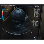 GE 8C-RS Micro Convex Ultrasound Transducer Probe Cable And Crystal Array Replacement