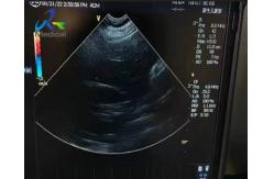 China GE 8C-RS Micro Convex Ultrasound Transducer Probe Cable And Crystal Array Replacement supplier
