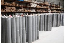 china Galvanized Welded Wire Mesh Panels exporter
