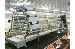 China Chicken Raising Automatic Poultry Cage , Battery Chicken Cages For Laying Eggs supplier