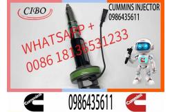 China Fuel Injector Assembly F00BLOJ017 F00BLOJ018 0986435611 F00BLOJ019 Y431K05246 For Qsk19 Engine supplier