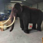 Size Custom Realistic Animatronic Animals Mammoth Model Adult Age